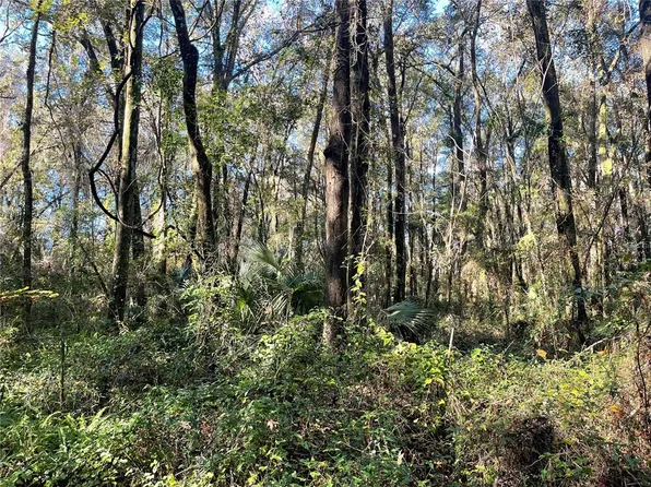 0 SW Chinchilla Gln, High Springs, FL 32643