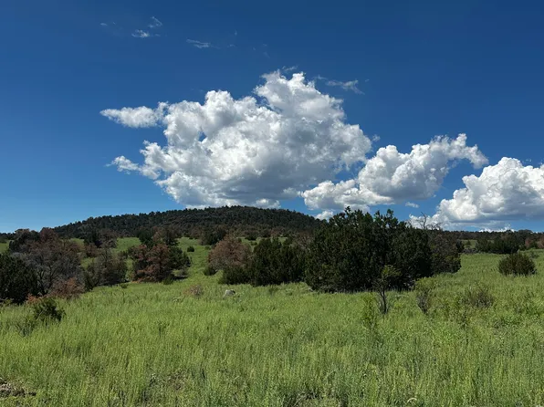 Powerline, Quemado, NM 87829
