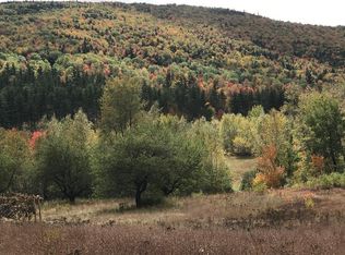 0 Bog Rd, Bethel, ME 04217