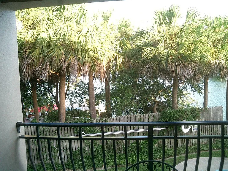 11910 Lagoon Ln #202 — Photo 5