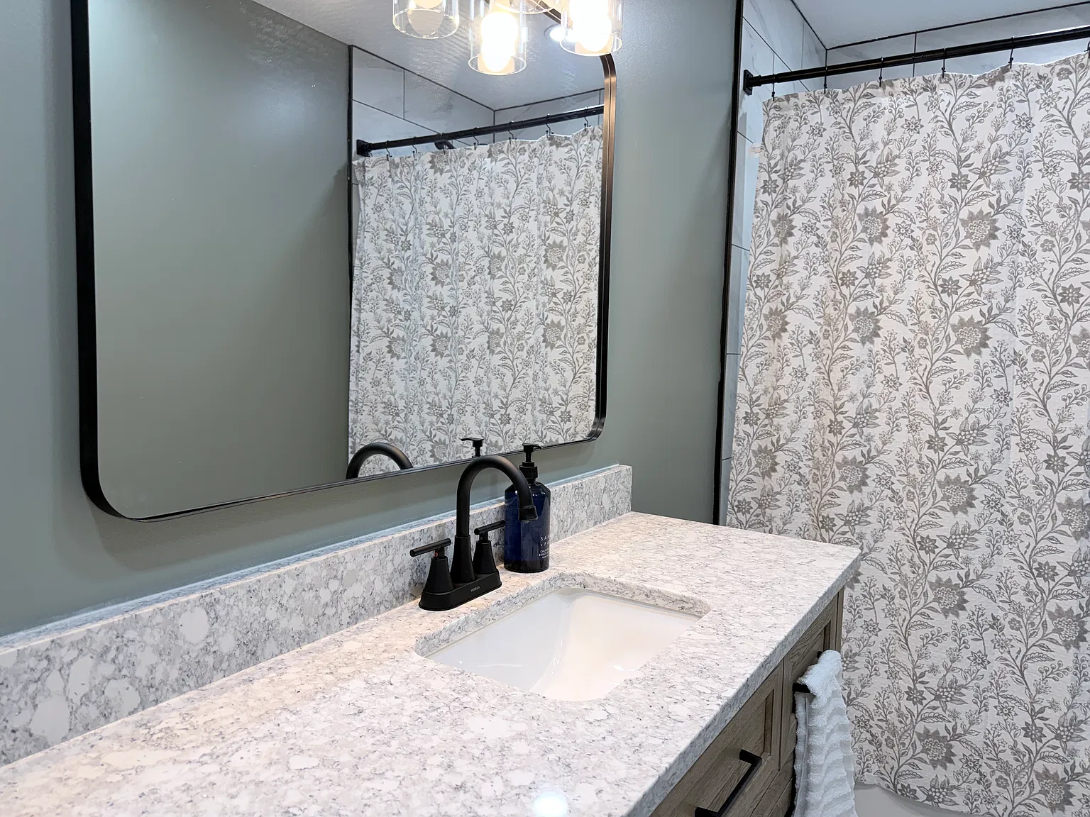 2 bed, 1158 sqft, $2,850 — Photo 3