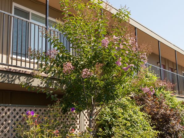 630 Taylor Ct APT 15