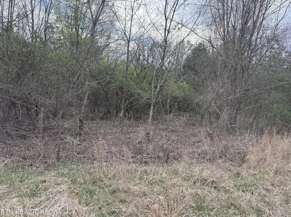 158 Foxwood Dr, Kingston, TN 37763