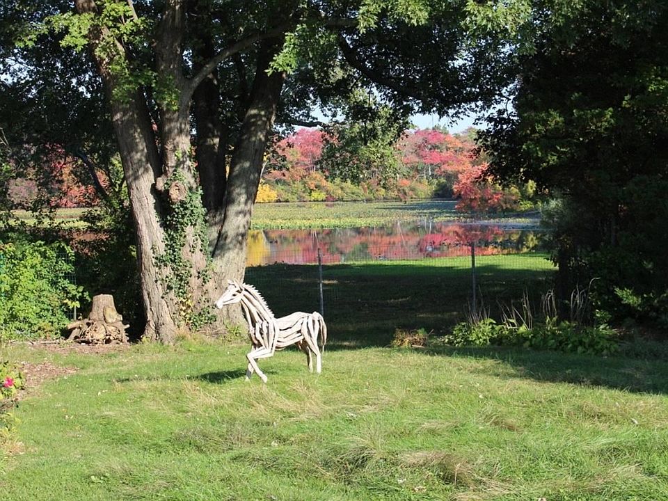Fall view