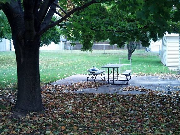 Large Back Yard / Lot