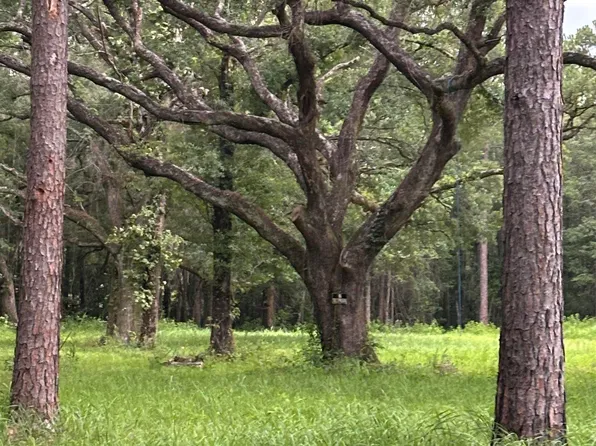 10901 Hall Dr #20, Axis, AL 36505