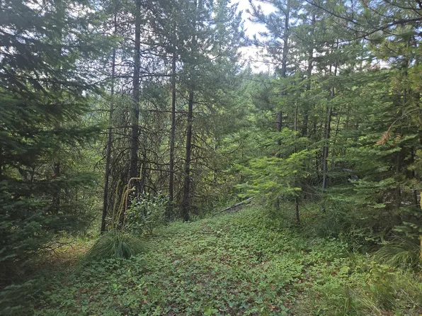 LOT 22 Nine Mile Rd, Huson, MT 59846
