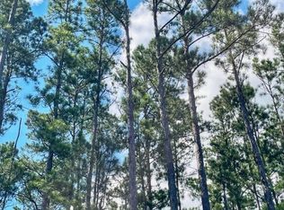 0 Incachee Rd, Waverly, GA 31565