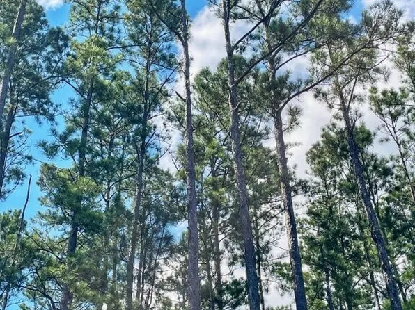 0 Incachee Rd, Waverly, GA 31565