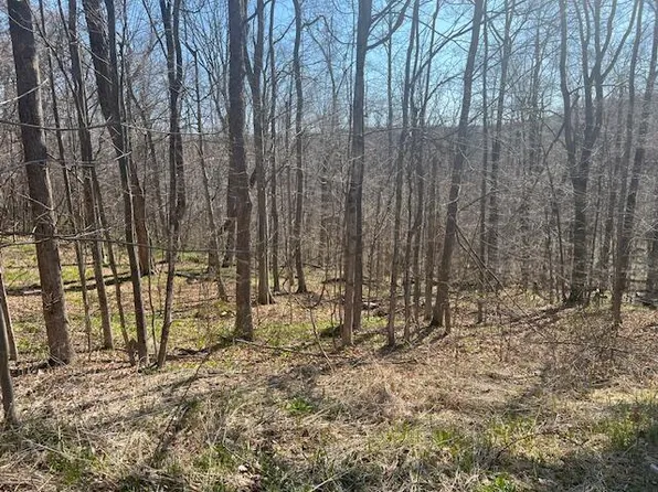 Maple Grove Rd, Moscow, PA 18444