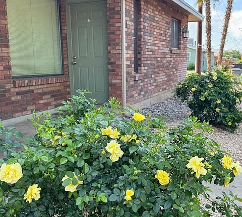 Your front entrance