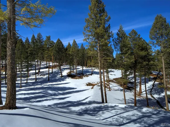 20606 Swaying Pine Drive LOT 6, Morrison, CO 80465