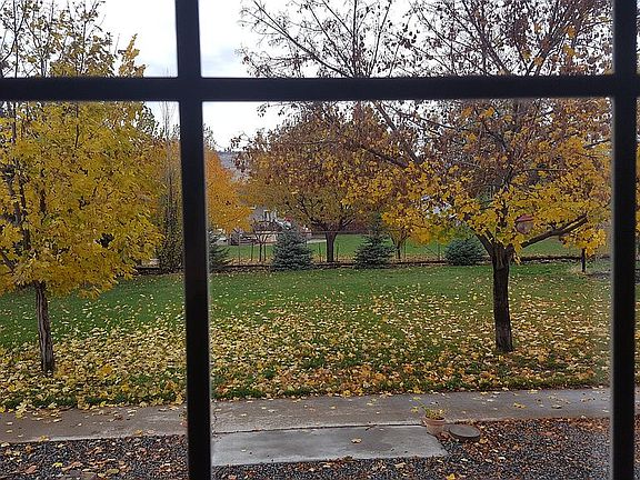 View of back yard