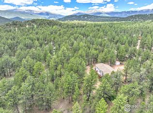 56 Bounty Hunter Ln, Bailey, CO 80421