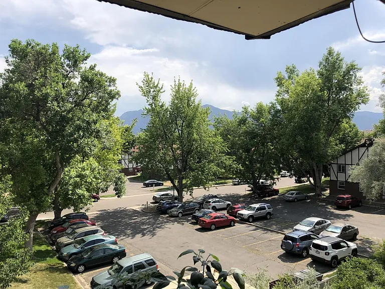 Patio view
