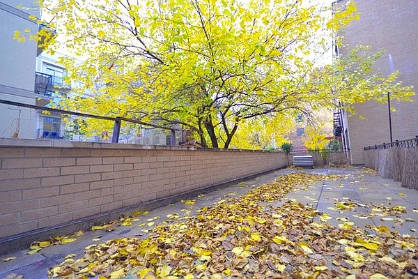 Rented by Bold Marketing | media 4