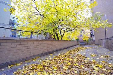 Rented by Bold Marketing