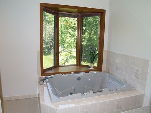 Master bath with backyard view