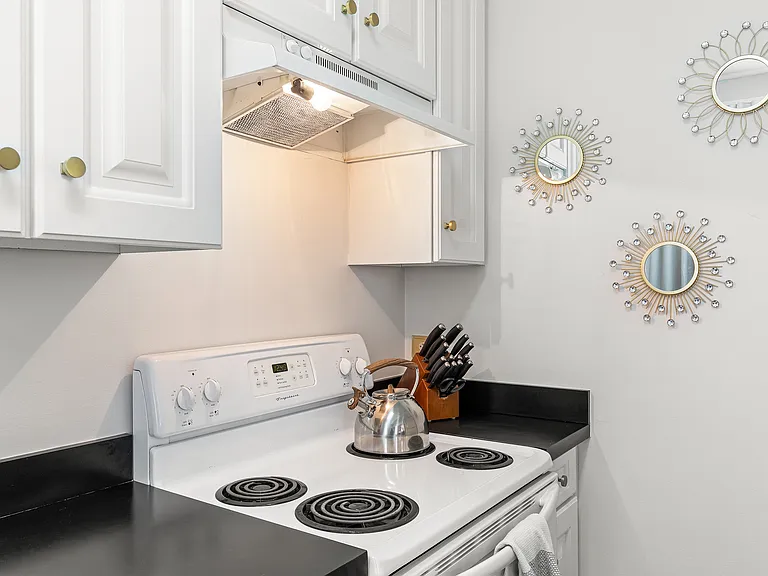 24 E Macon St #2 — Photo 18