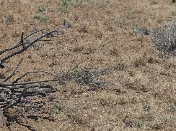 Xx C St, Hanover, NM 88041