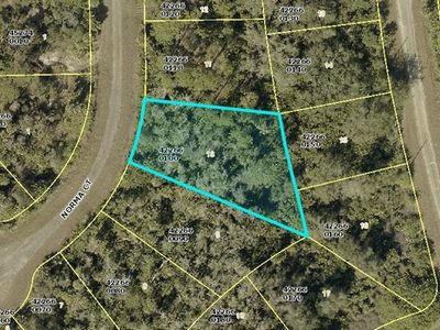 1846 Norma CT, Lehigh Acres, FL, 33972