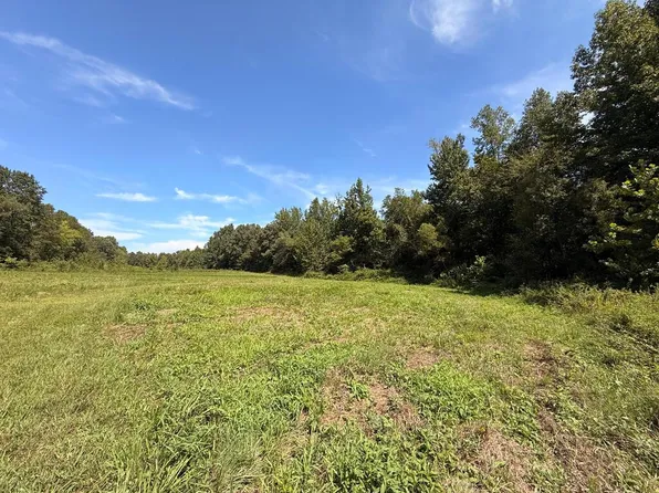 P 4 & 5 Tater House Rd, Hollow Rock, TN 38342