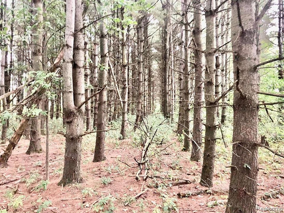 PARCEL Brown City Rd Imlay City, MI, 48444 Apartments for Rent Zillow