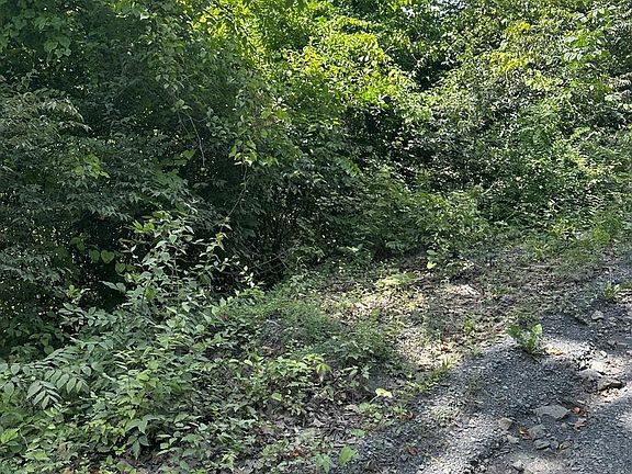 3rd image of 2LOTS;-463 462 Reid Dr