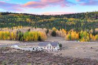 photo property thumbnail