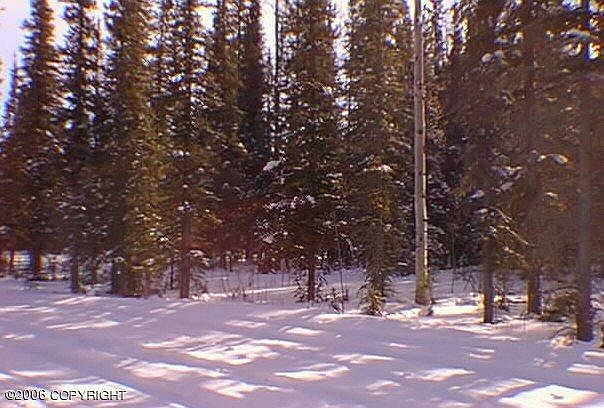 2nd image of 2LOT S Ea Redfox Dr