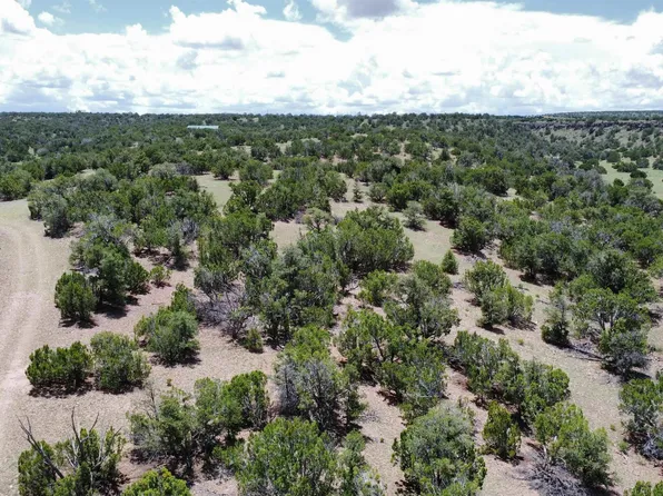 46 Cimarron Dr, Quemado, NM 87829