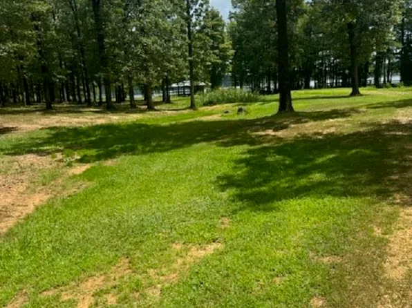 36 N Eagle View Dr, Lewisville, AR 71845