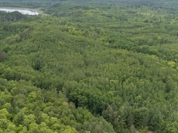 LOT County Road 533 #B, Effie, MN 56639