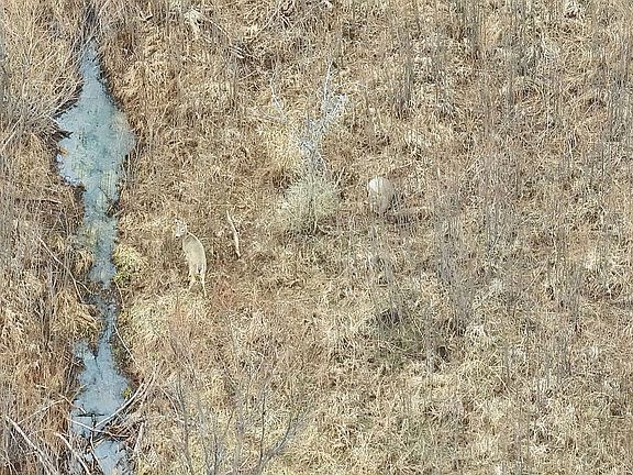 Dji 20260302152053 0008 V