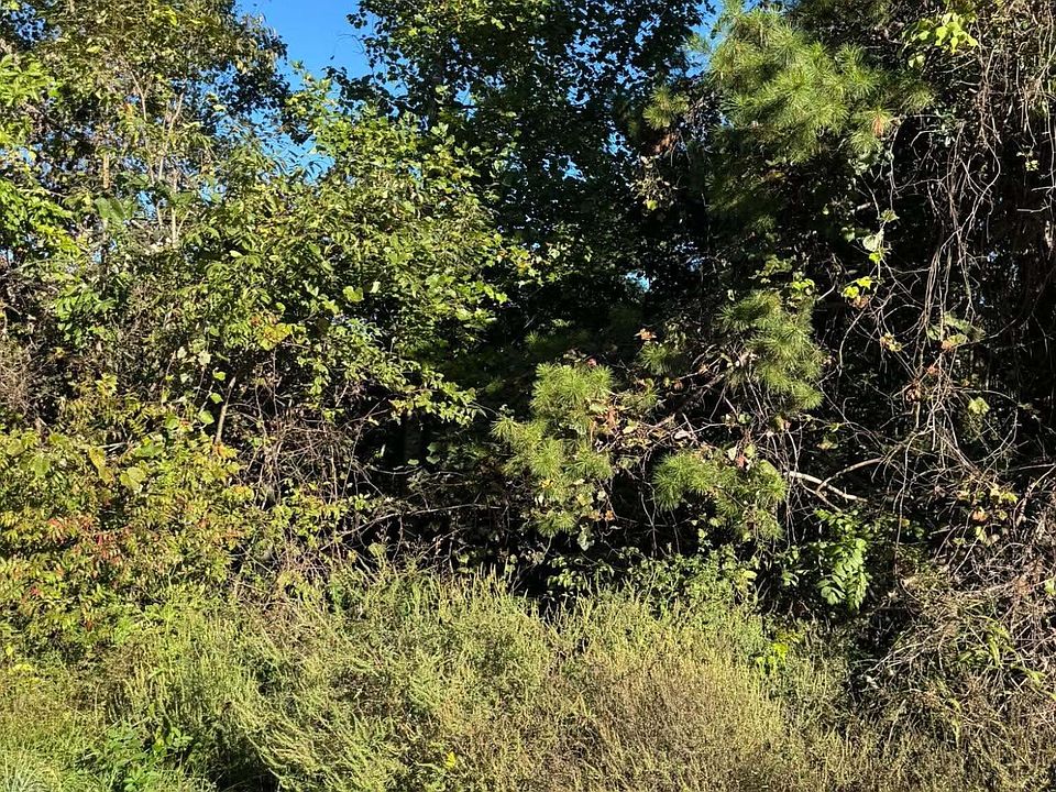 2nd image of 0 Turkey Ridge Rd Lot 40