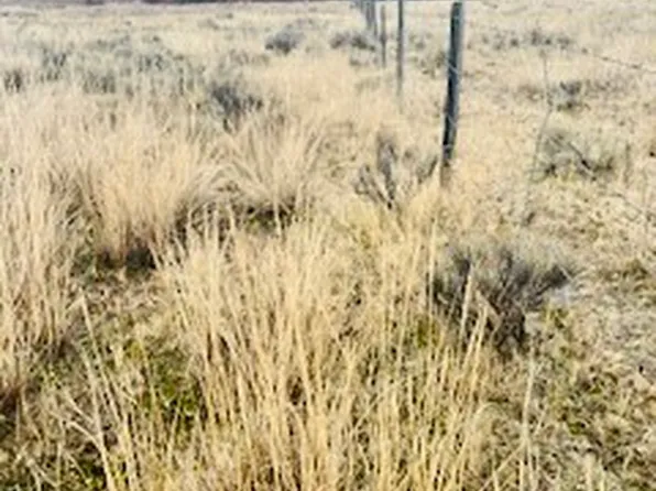 Nhn Carriger Ln, Butte, MT 59750