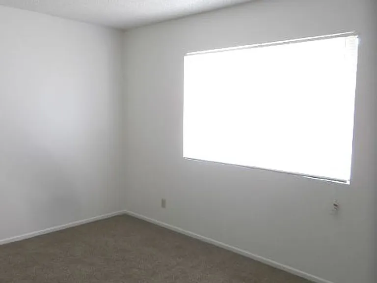 251 Mathilda Dr — Photo 17