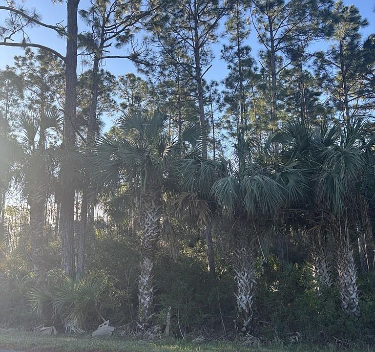 2nd image of County Road 30 #A