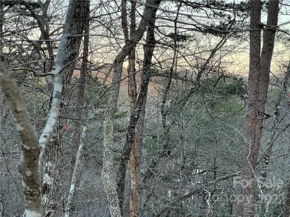 LOT 138 Eagles Ave, Lake Lure, NC 28746