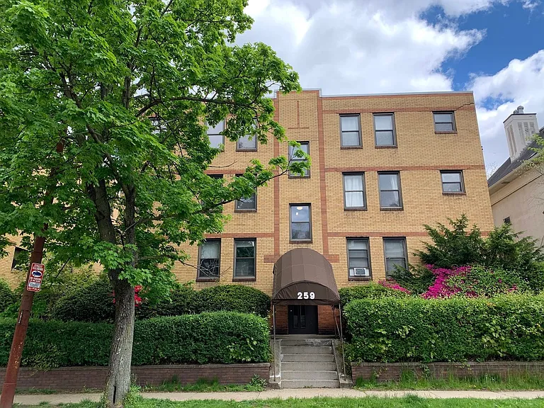 259 Shady Avenue — Photo 12