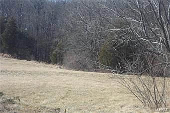 3rd image of 0 Old Fredericktown Rd