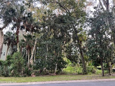 29 Whitehall Ct, Flagler Beach, FL, 32136