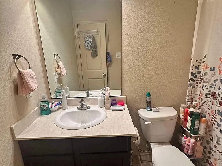 2603 Gold Flake Terrace Rd — Photo 20