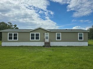13313 164th St, McAlpin, FL 32062