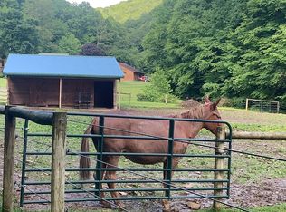 1338 Upper Isner Creek Rd, Elkins, WV 26241