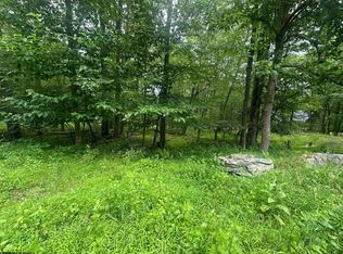 224 Woodbine Dr, Terra Alta, WV 26764