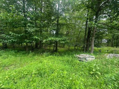 224 Woodbine Dr, Terra Alta, WV, 26764