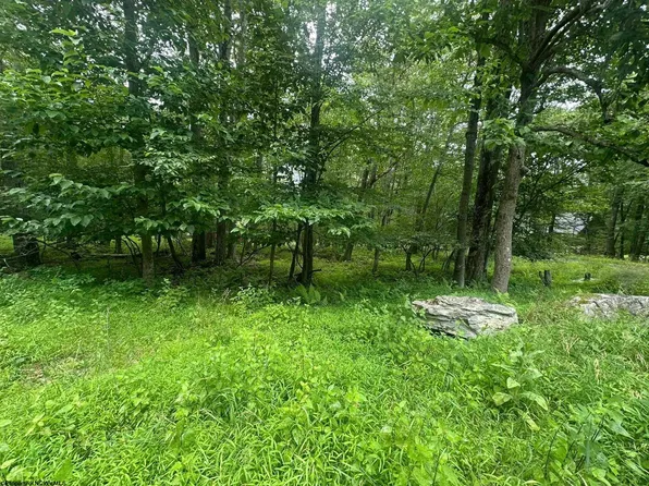 224 Woodbine Dr, Terra Alta, WV 26764