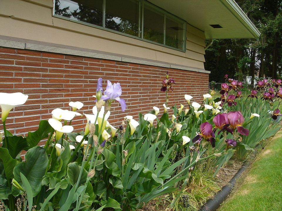 2nd image of 11409 Clover Park Dr SW