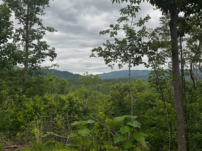 305 Wood Property Dr — Photo 23